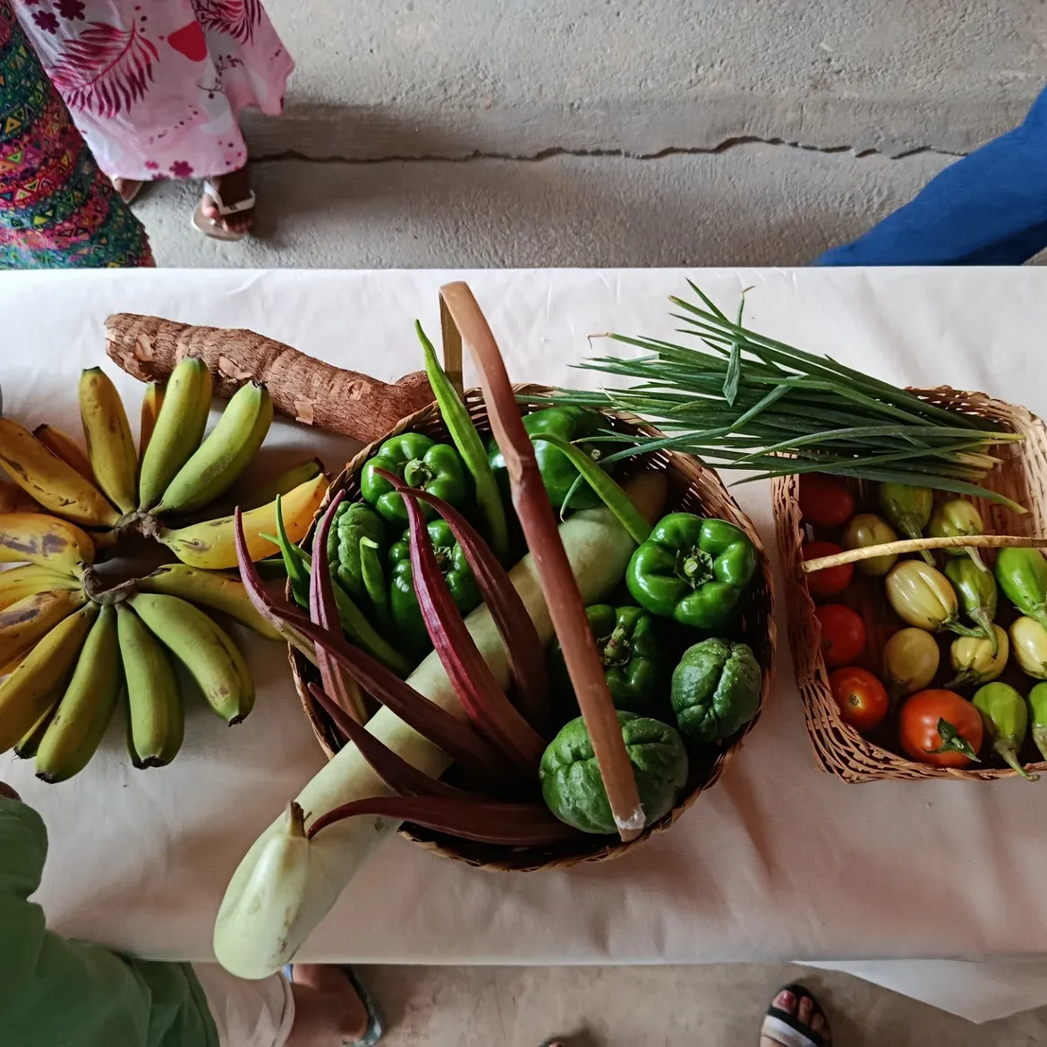 Festas Tradicionais e Celebrações da Nossa Cultura
